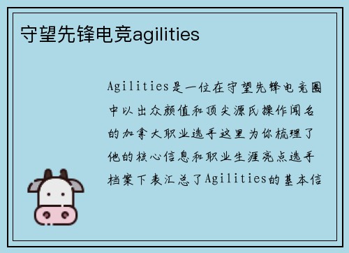 守望先锋电竞agilities